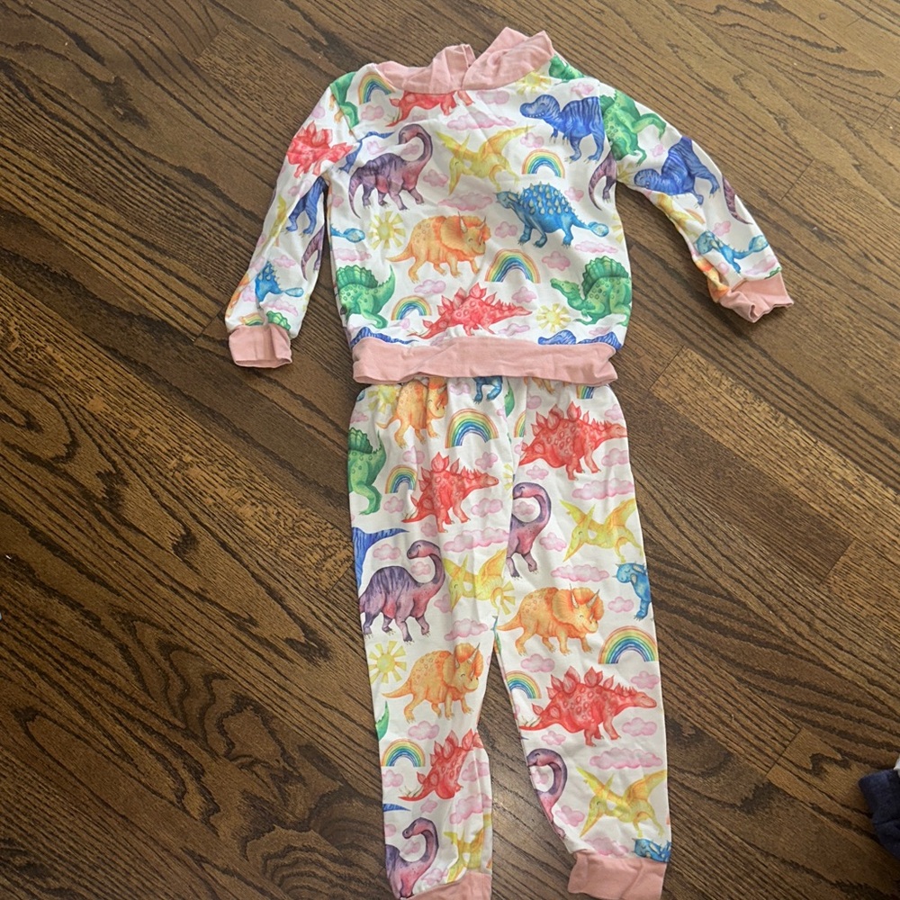 Colorful Dinosaur Kids Set
